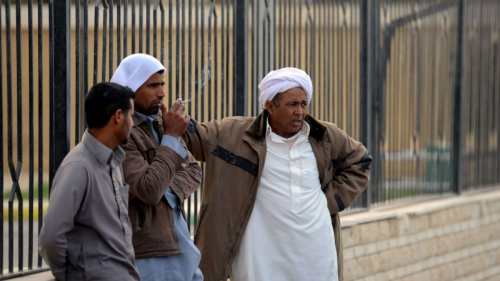 دحر الإرهاب بداية لتحول استراتيجي في سيناء