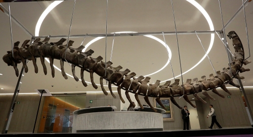 بيع هيكل ديناصور من سلالة جديدة مقابل أكثر من 2 مليون دولار