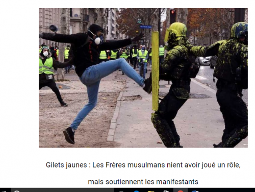 موقع فرنسي: الإخوان يدعمون "السترات الصفراء" لنشر الفوضى