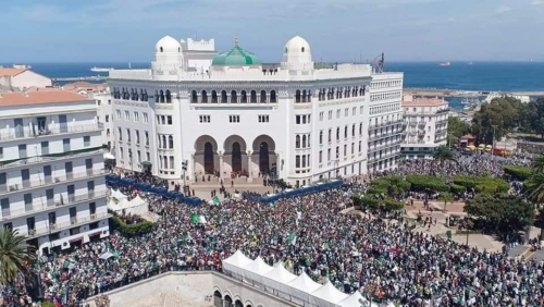 الجزائر.. المجلس الدستوري يتجه لإلغاء الانتخابات