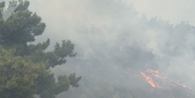 لبنان ... الدفاع المدني خطر تمدد الحرائق مازال قائما