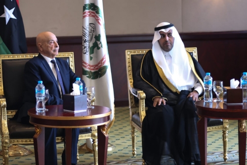  البرلمان العربي يؤكد الرفض التام للتدخلات الخارجية في الشؤون الداخلية للدول العربية