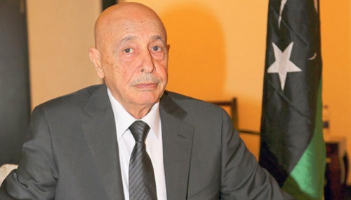 ليبيا .. البرلمان يعلن دعمه وتأييده لخطاب الرئيس السيسى حول ليبيا