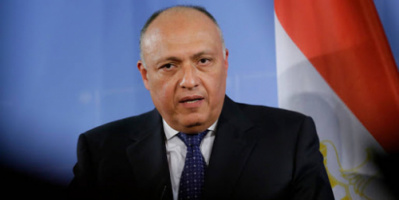 سامح شكري .. أي تهديد للأمن القومي المصري والعربي سيلقى ردا حازما