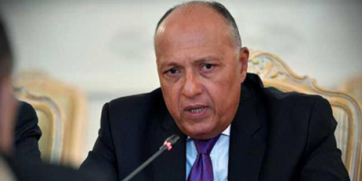 سامح شكري .. إجراءاتنا ستكون "صريحة وواضحة" بحال فشل مجلس الأمن بإيقاف إثيوبيا 
