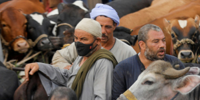 وزارة الصحة المصرية تؤكد أن لحوم الأضاحي والأغذية لا تنقل العدوى بفيروس كورونا