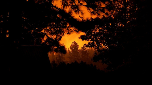 مقتل 16 شخصا بحرائق الغابات غربي أمريكا وإجلاء نصف مليون شخص