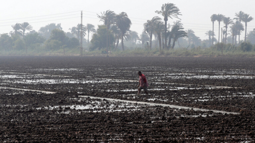 مصر تحسم الجدل حول بيع المياه للمزارعين في ظل أزمة سد النهضة