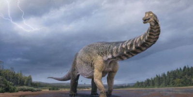 طوله بحجم ملعب كرة.. اكتشاف بقايا أكبر ديناصور في العالم بأستراليا