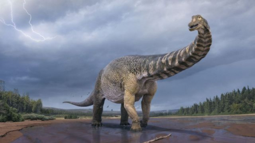 طوله بحجم ملعب كرة.. اكتشاف بقايا أكبر ديناصور في العالم بأستراليا