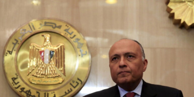  سامح شكري.. هناك دعم عربي لمصر في موقفها بقضية سد النهضة