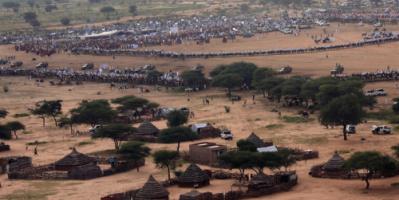 السودان.. هيئة محامي دارفور تكشف عن العثور على 76 جمجمة في مقابر جماعية بوسط الإقليم