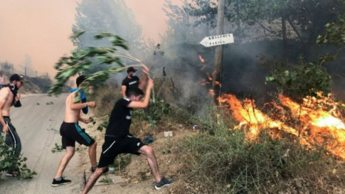 الجزائر.. ارتفاع حصلية ضحايا حرائق الغابات إلى 65 ضحية منهم 28 عسكريا