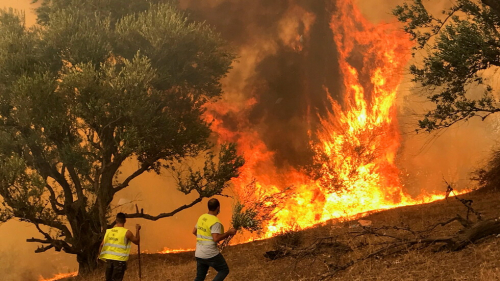 الجزائر.. إخماد 76 حريقا عبر 15 ولاية