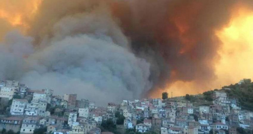 مساجد فلسطين تتضامن مع ضحايا الحرائق في الجزائر