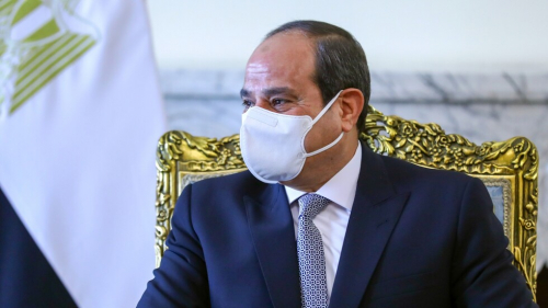الرئيس السيسي يحصي عدد السكان غير المصريين في مصر