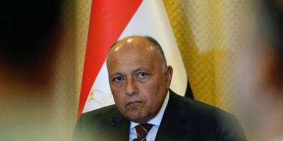 وزير الخارجية المصري: لدينا اتصالات مع روسيا وأوكرانيا للدفع نحو حل الأزمة
