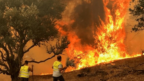 حصيلة ضحايا حرائق الجزائر ترتفع إلى 38 قتيلا