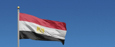 مصر.. ضبط طالب بالصف الثاني الإعدادي تعدى على طفلة جنسيا