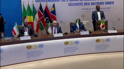 الجزائر تطالب الدول الإفريقية بتوحيد مواقفها انتظارا لإصلاح مجلس الأمن