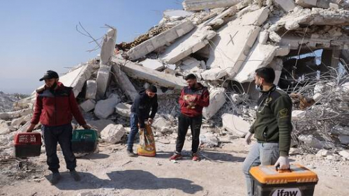 سوريا: تسجيل 20 هزة أرضية خفيفة خلال 24 ساعة اثنتان منها صباح اليوم الجمعة 