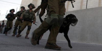 تقرير عبري: قوات إسرائيلية تجبر 5 فلسطينيات على التعري تحت التهديد