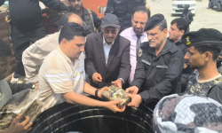 النيابة الجزائية المتخصصة في عدن تتلف 657 كيلو جرامًا من الكوكايين بحضور اللواء شلال شائع ورئيس النيابة