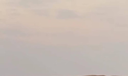 سقوط الأقنعة: تبنٍّ إرهابي صريح يفضح تحالف الإخوان والقاعدة في مأرب واستهداف حضرموت