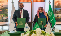 مشروع سعودي جديد يغير خريطة الزراعة في 3 محافظات يمنية