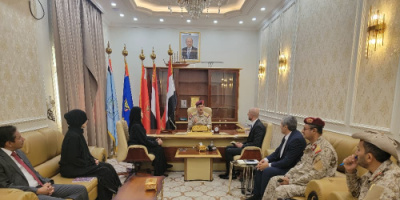 وزير الدفاع يبحث مع &laquo;الصليب الأحمر&raquo; تعزيز التعاون الإنساني وسبل إنهاء معاناة الأسرى والمختطفين